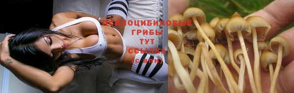 твердый Абинск