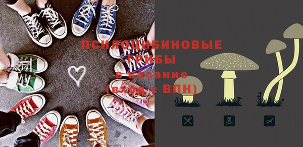 твердый Абинск