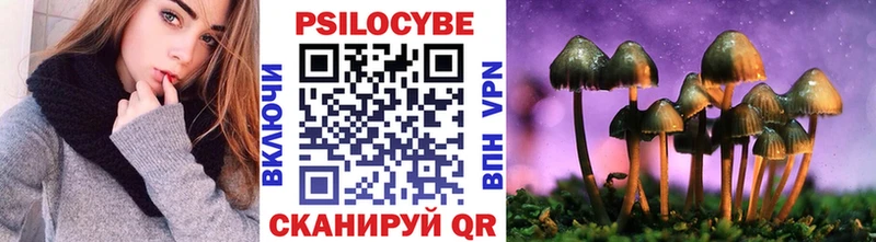 Галлюциногенные грибы Psilocybine cubensis  Иноземцево 